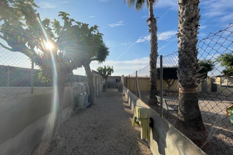 Finka w Elche, Alicante, Hiszpania 1 sypialnia, 120 mkw. nr 147352 – zdjęcie 10