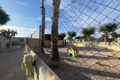 Finka w Elche, Alicante, Hiszpania 1 sypialnia, 120 mkw. nr 147352 – zdjęcie 27