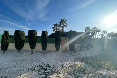 Finka w Elche, Alicante, Hiszpania 1 sypialnia, 120 mkw. nr 147352 – zdjęcie 11