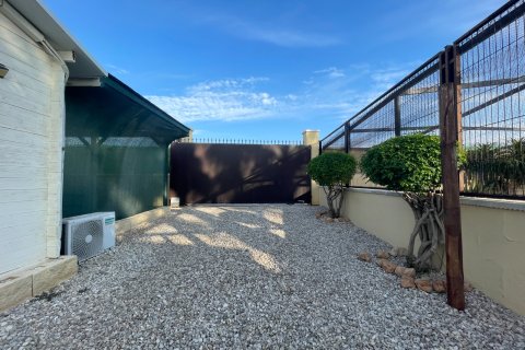 Finka w Elche, Alicante, Hiszpania 1 sypialnia, 120 mkw. nr 147352 – zdjęcie 14