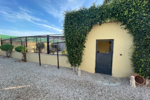 Finka w Elche, Alicante, Hiszpania 1 sypialnia, 120 mkw. nr 147352 – zdjęcie 15