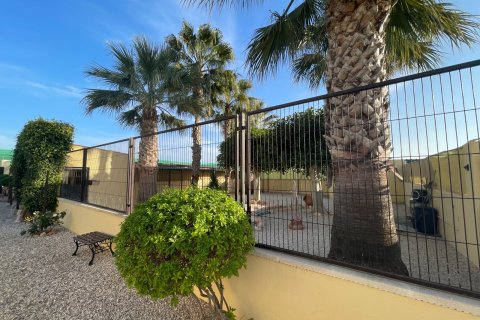 Finka w Elche, Alicante, Hiszpania 1 sypialnia, 120 mkw. nr 147352 – zdjęcie 30