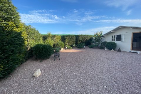 Finka w Elche, Alicante, Hiszpania 1 sypialnia, 120 mkw. nr 147352 – zdjęcie 13