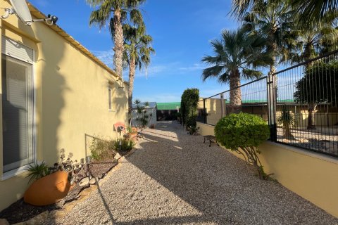 Finka w Elche, Alicante, Hiszpania 1 sypialnia, 120 mkw. nr 147352 – zdjęcie 29