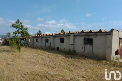 Продажа дома в Гандия, Валенсия, Испания 3 спальни, 1826м2 №154232 - фото 29