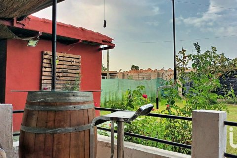 Продажа дома в Гандия, Валенсия, Испания 3 спальни, 1826м2 №154232 - фото 8