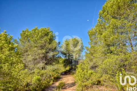 Terreno in vendita a L'Alcudia de Crespins, Valencia, Spagna 201046 mq. N° 154227 - foto 15