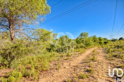 Terreno in vendita a L'Alcudia de Crespins, Valencia, Spagna 201046 mq. N° 154227 - foto 10
