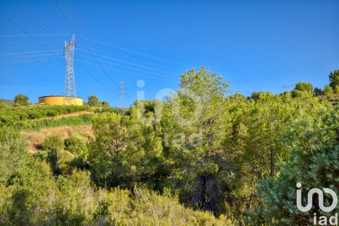 Terreno in vendita a L'Alcudia de Crespins, Valencia, Spagna 201046 mq. N° 154227 - foto 5