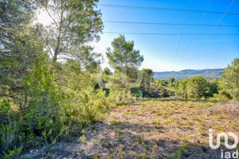 Terreno in vendita a L'Alcudia de Crespins, Valencia, Spagna 201046 mq. N° 154227 - foto 14