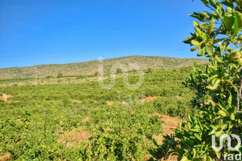 Terreno in vendita a L'Alcudia de Crespins, Valencia, Spagna 201046 mq. N° 154227 - foto 23