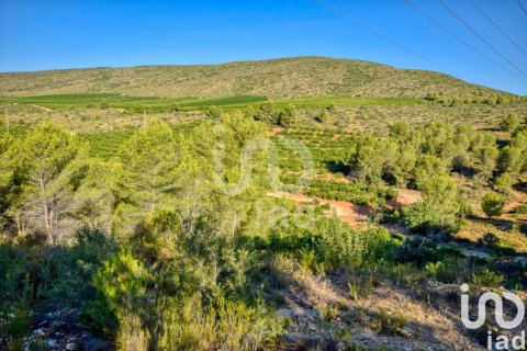 Terreno in vendita a L'Alcudia de Crespins, Valencia, Spagna 201046 mq. N° 154227 - foto 19