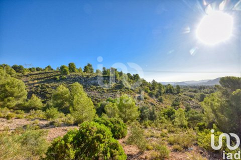Terreno in vendita a L'Alcudia de Crespins, Valencia, Spagna 201046 mq. N° 154227 - foto 3