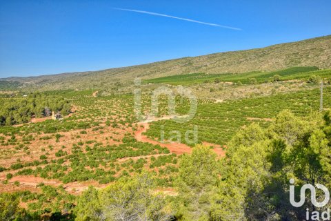Terreno in vendita a L'Alcudia de Crespins, Valencia, Spagna 201046 mq. N° 154227 - foto 25