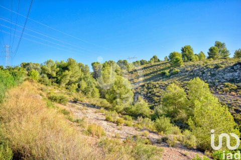 Terreno in vendita a L'Alcudia de Crespins, Valencia, Spagna 201046 mq. N° 154227 - foto 4