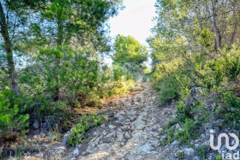 Terreno in vendita a L'Alcudia de Crespins, Valencia, Spagna 201046 mq. N° 154227 - foto 18