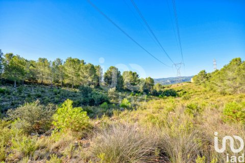 Terreno in vendita a L'Alcudia de Crespins, Valencia, Spagna 201046 mq. N° 154227 - foto 17
