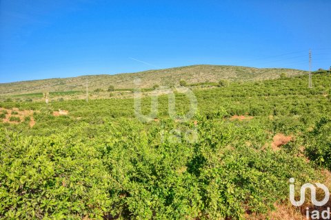 Terreno in vendita a L'Alcudia de Crespins, Valencia, Spagna 201046 mq. N° 154227 - foto 22