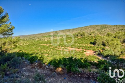 Terreno in vendita a L'Alcudia de Crespins, Valencia, Spagna 201046 mq. N° 154227 - foto 20