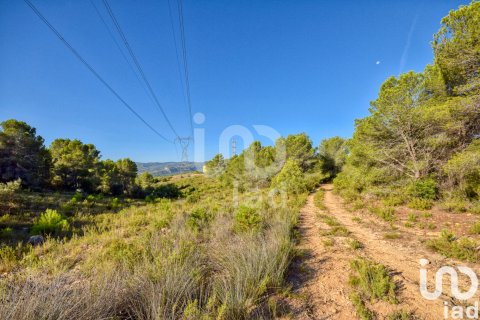 Terreno in vendita a L'Alcudia de Crespins, Valencia, Spagna 201046 mq. N° 154227 - foto 12