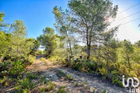 Terreno in vendita a L'Alcudia de Crespins, Valencia, Spagna 201046 mq. N° 154227 - foto 8