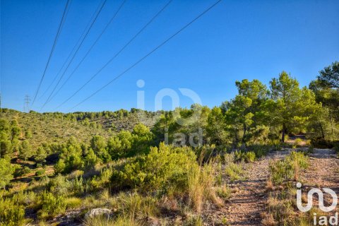 Terreno in vendita a L'Alcudia de Crespins, Valencia, Spagna 201046 mq. N° 154227 - foto 7