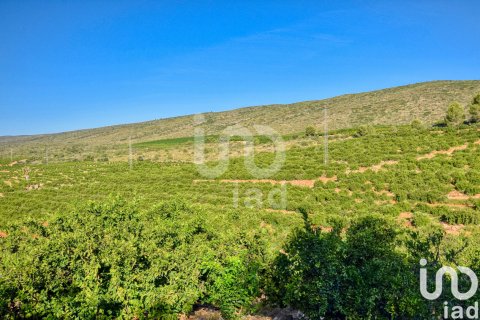 Terreno in vendita a L'Alcudia de Crespins, Valencia, Spagna 201046 mq. N° 154227 - foto 24