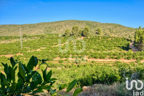 Terreno in vendita a L'Alcudia de Crespins, Valencia, Spagna 201046 mq. N° 154227 - foto 21