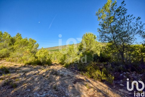 Terreno in vendita a L'Alcudia de Crespins, Valencia, Spagna 201046 mq. N° 154227 - foto 9