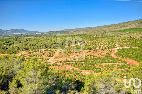 Terreno in vendita a L'Alcudia de Crespins, Valencia, Spagna 201046 mq. N° 154227 - foto 26