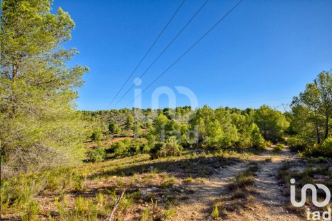 Terreno in vendita a L'Alcudia de Crespins, Valencia, Spagna 201046 mq. N° 154227 - foto 11