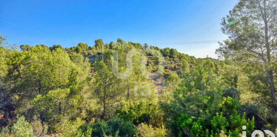 Terreno a L'Alcudia de Crespins, Valencia, Spagna 201046 mq. N° 154227