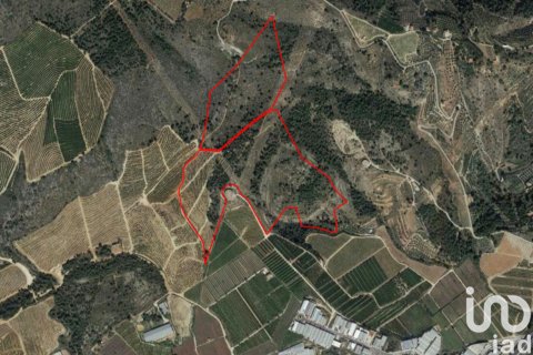 Terreno in vendita a L'Alcudia de Crespins, Valencia, Spagna 201046 mq. N° 154227 - foto 28