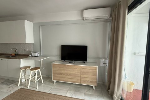 Apartment for rent in Marbella, Malaga, Spain 1 room, 55 sq.m. No. 177557 - photo 14