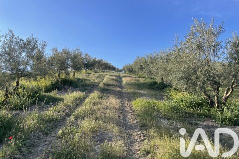 Casa in vendita a Guadahortuna, Granada, Spagna 4 camere da letto, 200 mq. N° 172756 - foto 19