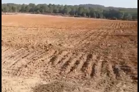 Gewerbeimmobilien zum Verkauf in Perafort, Tarragona, Spanien Nr. 172750 - Foto 4