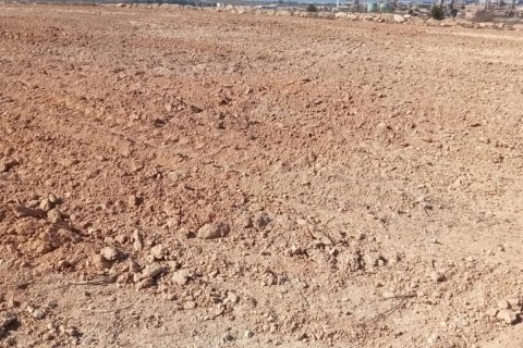 Gewerbeimmobilien zum Verkauf in Perafort, Tarragona, Spanien Nr. 172750 - Foto 6