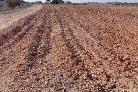 Gewerbeimmobilien zum Verkauf in Perafort, Tarragona, Spanien Nr. 172750 - Foto 2