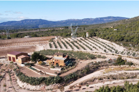 Proprietà commerciale a Perafort, Tarragona, Spagna N° 172750