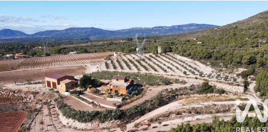 Gewerbeimmobilien in Perafort, Tarragona, Spanien Nr. 172750