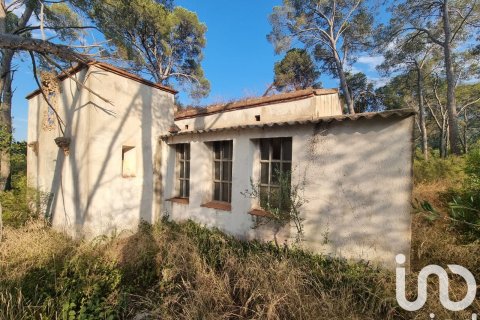 Terreno a Amposta, Tarragona, Spagna 195000 mq. N° 185787