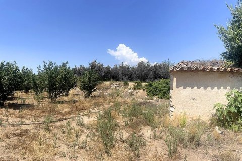 Продажа земельного участка в Вальсмолл, Таррагона, Испания 3524м2 №185788 - фото 3
