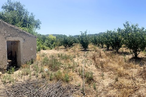 Продажа земельного участка в Вальсмолл, Таррагона, Испания 3524м2 №185788 - фото 5