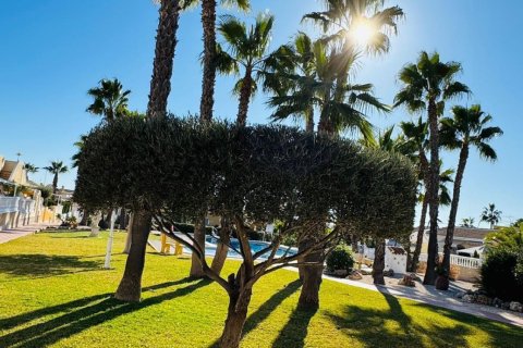 Villetta a schiera in vendita a Ciudad Quesada, Alicante, Spagna 3 camere da letto, 110 mq. N° 155533 - foto 17