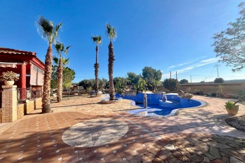 Сasa en venta Rojales, Alicante, España 4 dormitorios, 450 m2 No. 109225 - foto 9