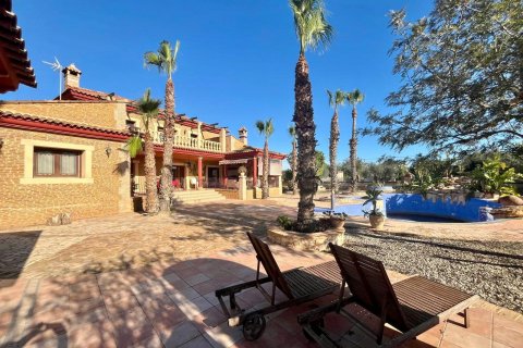 Сasa en venta Rojales, Alicante, España 4 dormitorios, 450 m2 No. 109225 - foto 12