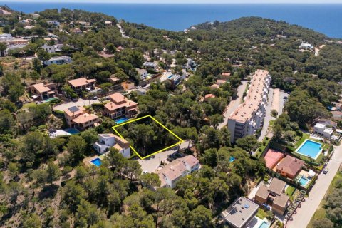 Land plot à vendre à Tamariu, Girona, EspagneNo. 141164 - photo 1