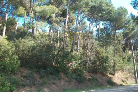 Land plot à vendre à Tamariu, Girona, EspagneNo. 141164 - photo 8