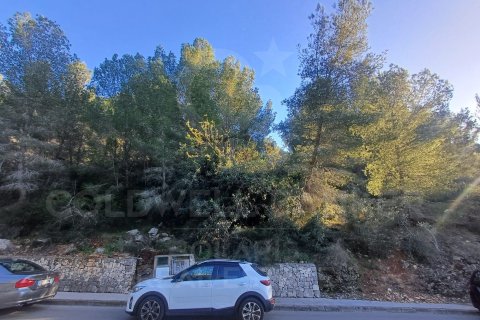 Tontti myytävänä Denia, Alicante, Espanja , 1625 m2 No. 157024 - kuva 2