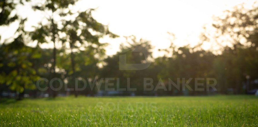 Tontti Denia, Alicante, Espanja 1164 m2 No. 157023